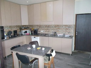 Casa, parter, Peciu Nou, 5 camere, 233mp, teren 780mp - imagine 8