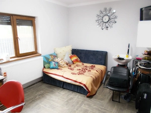 Casa, parter, Peciu Nou, 5 camere, 233mp, teren 780mp - imagine 14