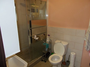 Casa, parter, Peciu Nou, 5 camere, 233mp, teren 780mp - imagine 16