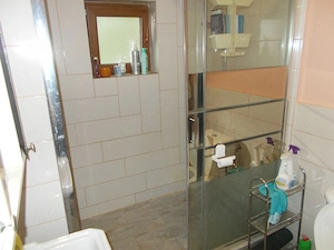 Casa, parter, Peciu Nou, 5 camere, 233mp, teren 780mp - imagine 17