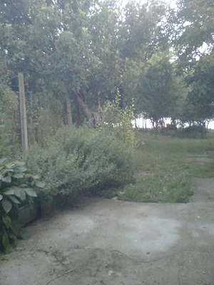De vinzare 1500mp - imagine 2