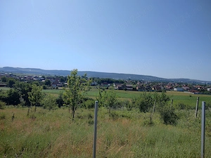 teren de vanzare
