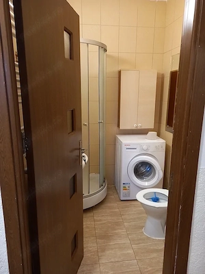 Vanzare apart 2 camere Ozana, Trapezului - imagine 5