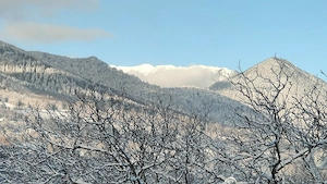 Casa Ciubărului Bran  - imagine 8