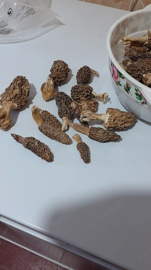 Zbarciogi uscati 100 lei 100 grame