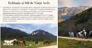 Teren 12 000 mp cu PUZ - 6 Blocuri - P+5E - 104 apartamente - Brasov - imagine 9