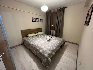Inchiriez ap 2 cam central langa Universitatea de Vest si Politehnica - imagine 4