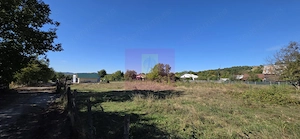 Teren intravilan 3.750 mp de vanzare in Campina