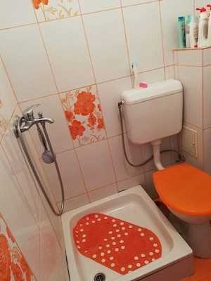 De inchiriat   Garsonieră în zona Dacia - imagine 3