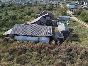 Casă P+M cu 1.380 mp teren intravilan, Viforâta – 97 mp utili - imagine 5