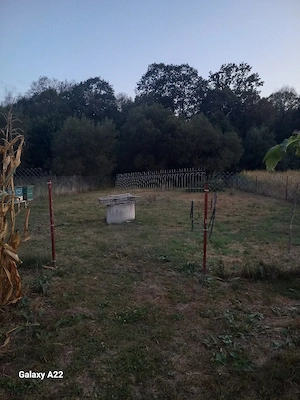 Teren Talmaciu extravilan 2200 mp langa padure si parâu - imagine 3