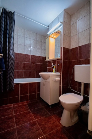 Proprietar , inchiriez ap 3 cam dec Zorilor, str.Luceafarului - imagine 5