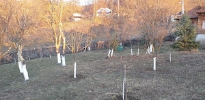 Vanzare teren 7582 mp (livada si faneata) cu casa in Prahova, Com.Cosminele, Sat Poiana Trestiei