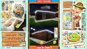 Vand Tiny House Casa Birou Vacanta Patru Anotimpuri