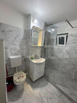 Apartament 2 camere decomandat,centrala proprie, zona Rovine  - imagine 10