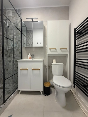 Apartament cu o cameră de închiriat – Zona Lipovei, Timișoara - imagine 12