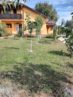 Casa central în Vernești Buzau