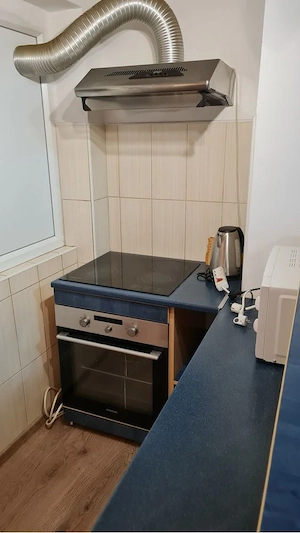 Apartament 2 Camere Torontalului - imagine 6
