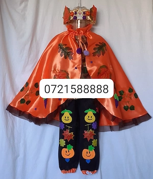 Costum Printul toamnei pentru copii,3-13 ani, 205 lei
