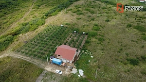COMISION 0% Casa individuala cu 3 camere si teren de 752 mp -  Mosnita - imagine 7