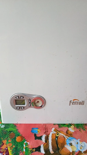 centrala Ferroli f24n