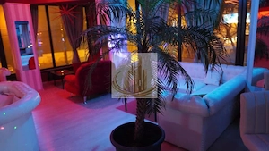 Spațiu comercial | Etaj 1 | Calea Aradului | Showroom, clinică,birouri - imagine 16