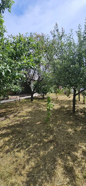 Casă cu 665 mp teren, garaj și terasă, zona Damila - imagine 2