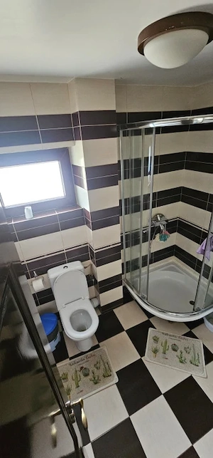 Casă cu 665 mp teren, garaj și terasă, zona Damila - imagine 8