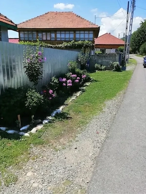 Proprietate deosebită 2200 mp cu livadă și casă   zonă liniștită Gorj