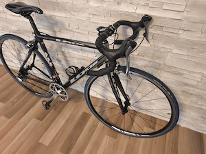Cursiera Looj 555 carbon