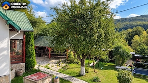 Casa din lemn P+M 191 mp, teren 2.199 mp, Almas - Garcina, zona retrasa - imagine 3