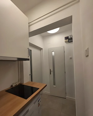Parcul Cinema | Studio | 23mp | decomandat | B12159 - imagine 8