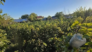 Teren intravilan 1.910 mp Vânători Vrancea, 2 deschideri + casă - imagine 4