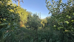 Teren intravilan 1.910 mp Vânători Vrancea, 2 deschideri + casă - imagine 5