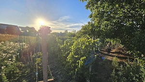 Teren intravilan 1.910 mp Vânători Vrancea, 2 deschideri + casă - imagine 3