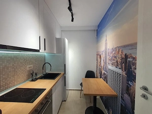 garsoniera ozana-modern-centrala proprie - imagine 6