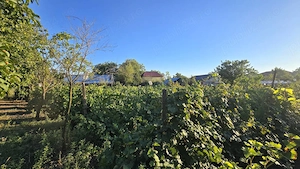 Teren intravilan 1.910 mp Vânători Vrancea, 2 deschideri + casă - imagine 7