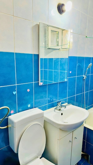 Apartament 1 camera, 27 mp, etaj 1, centrală proprie   zona Dacia - imagine 5