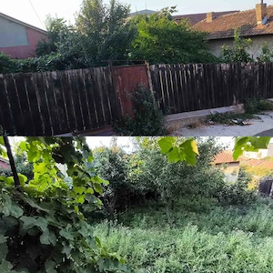 Casa de vanzare Drobeta Turnu Severin - Schela Cladovei - imagine 4