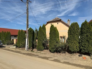 Vând casa in Peciu Nou  - imagine 2