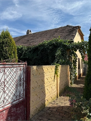 Vând casa in Peciu Nou  - imagine 5