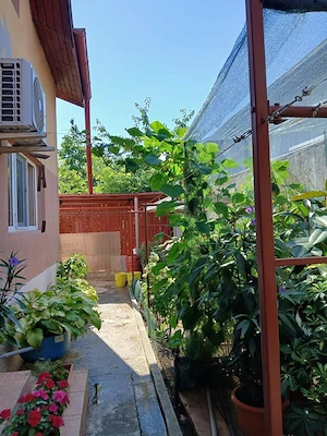 Voluntari Vanzare sau Schimb Vila Individuala(8camere-5bai) Rezidential - Clinica  - imagine 6