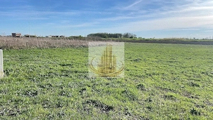 Teren de vânzare Ghiroda | 608 mp | Ideal casă individuală - imagine 4