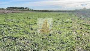 Teren de vânzare Ghiroda | 608 mp | Ideal casă individuală - imagine 3