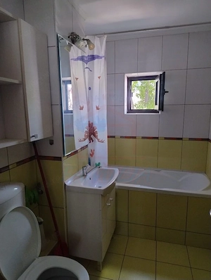 Apartament 2 camere, I.C. Frimu, 400 Euro/luna - imagine 7