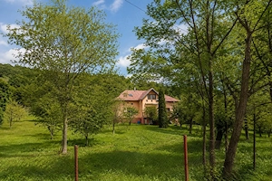  Casă 123 mp + teren 3.000 mp, Provița de Sus | Relocare  Investiție - imagine 2