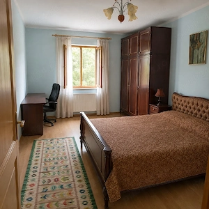  Casă 123 mp + teren 3.000 mp, Provița de Sus | Relocare  Investiție - imagine 7