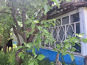 Copilaria mea 