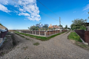 Casă cărămidă 80 mp, teren 1000 mp, colț, 7 km de Roman, Trifești - imagine 19
