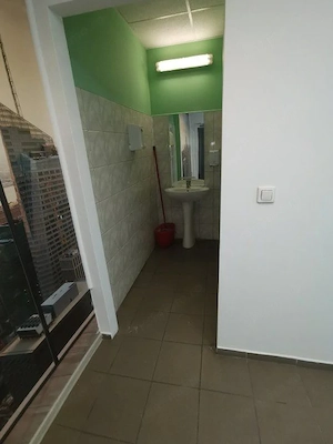 Hala Lugojului 1800 euro+TVA - imagine 9
